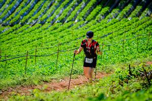 BIB: 2204
                            <button type="button" onclick="openModal(19163243)" class="btn btn-primary btn-sm float-right btn-popup" data-toggle="modal" data-target=".modal-high-quality">
                        <i class="fas fa-shopping-cart"></i> Add to Cart
                    </button>
                                            <button type="button" onclick="isThisMe(19163243, true)" class="btn btn-success btn-sm float-right btn-popup btn-isme hidden" data-toggle="tooltip" data-placement="bottom" title="นี่คือรูปของคุณใช่ไหม คลิกที่นี่เพื่อเอาเข้าอัลบั้ม">
                        <i class="fas fa-plus"></i> Add to album
                    </button>
                    <button type="button" onclick="isThisMe(19163243, false)" class="btn btn-warning btn-sm float-right btn-popup btn-isnotme hidden">
                        <i class="fas fa-ban"></i> Remove from album
                    </button>